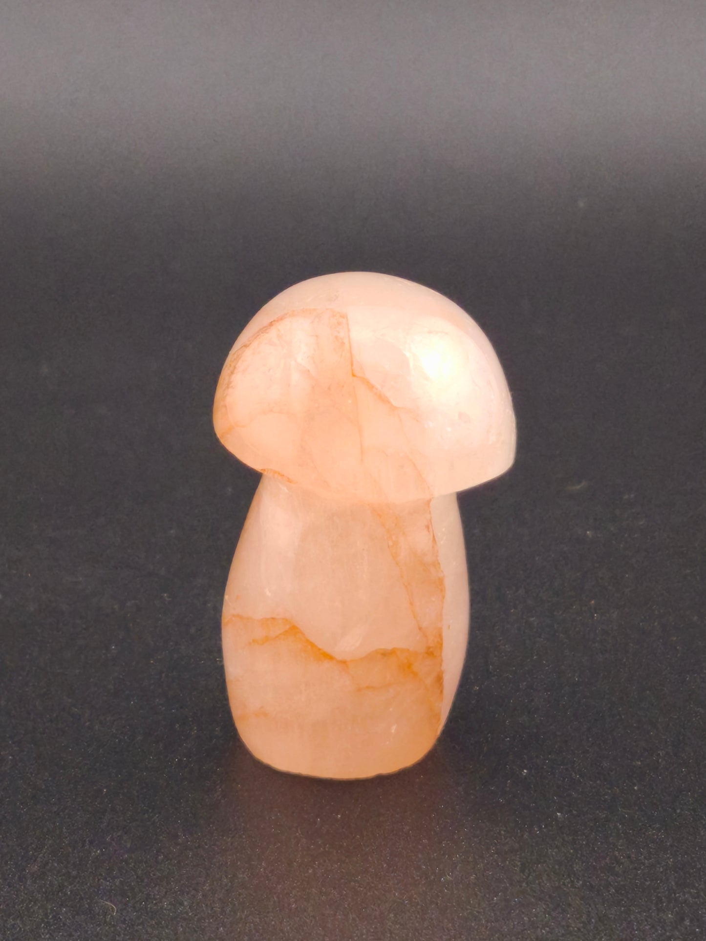 Champignon en Quartz Hématoïde