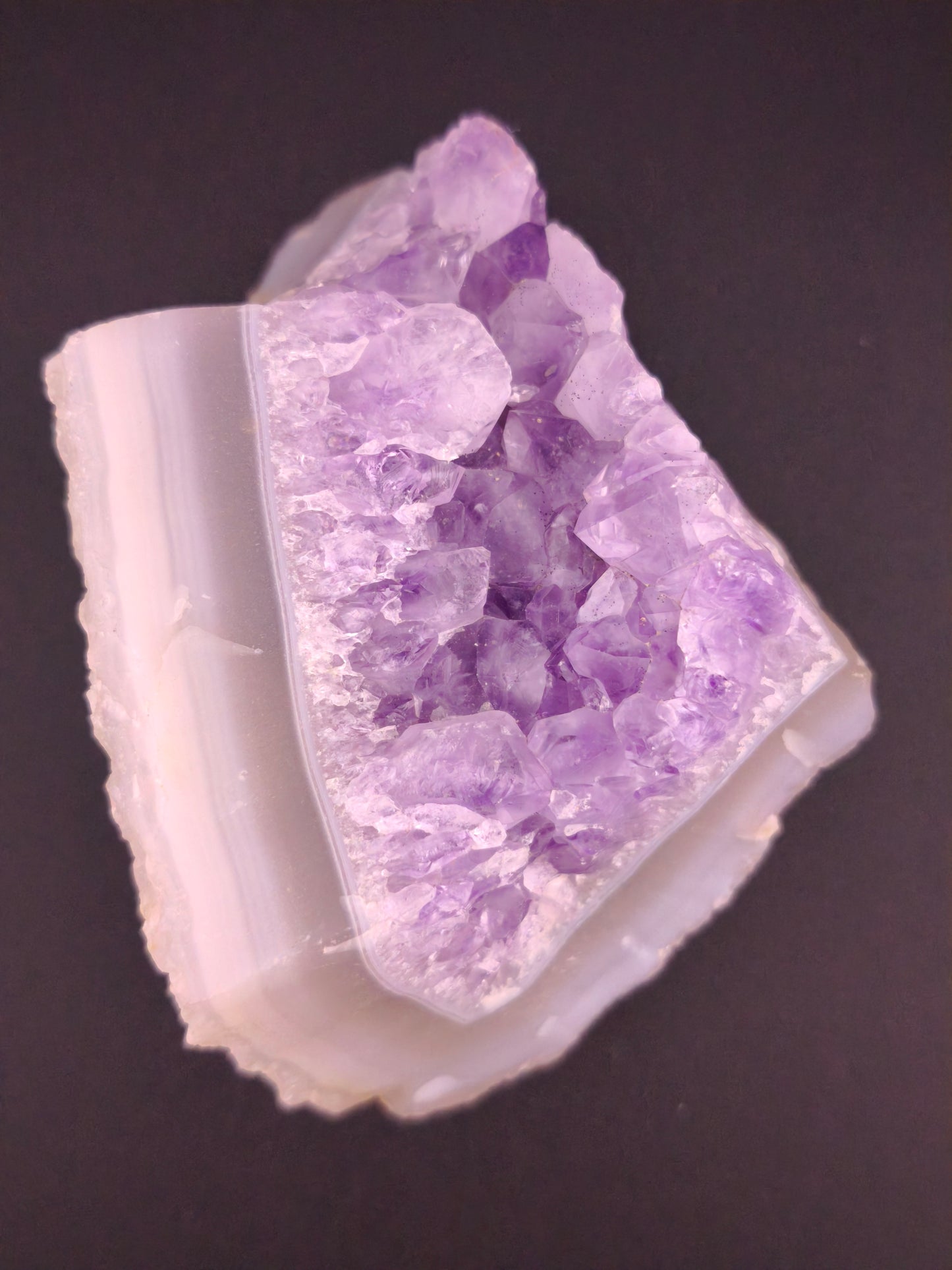 Druse d' Améthyste sur Agate