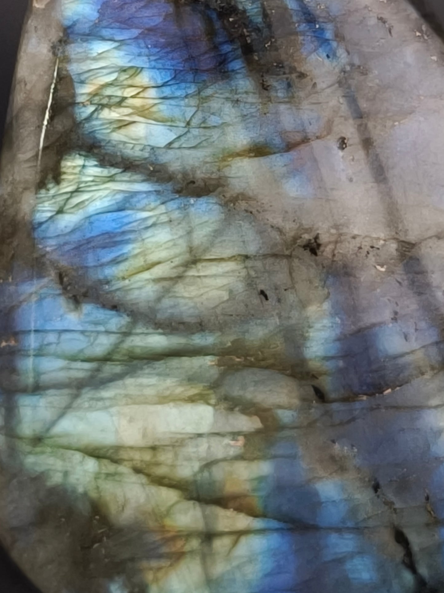 Forme Libre en Labradorite