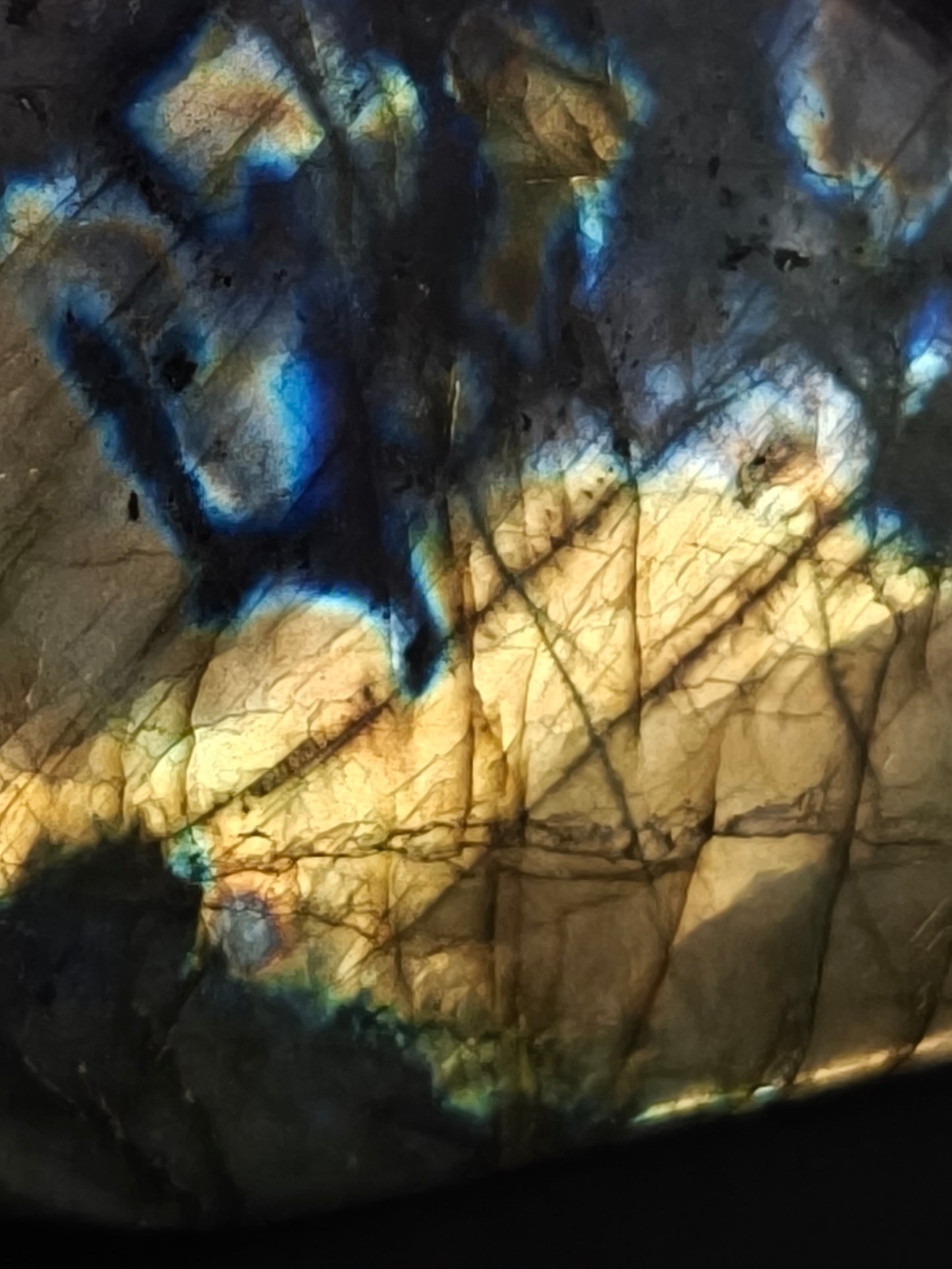 Forme Libre en Labradorite
