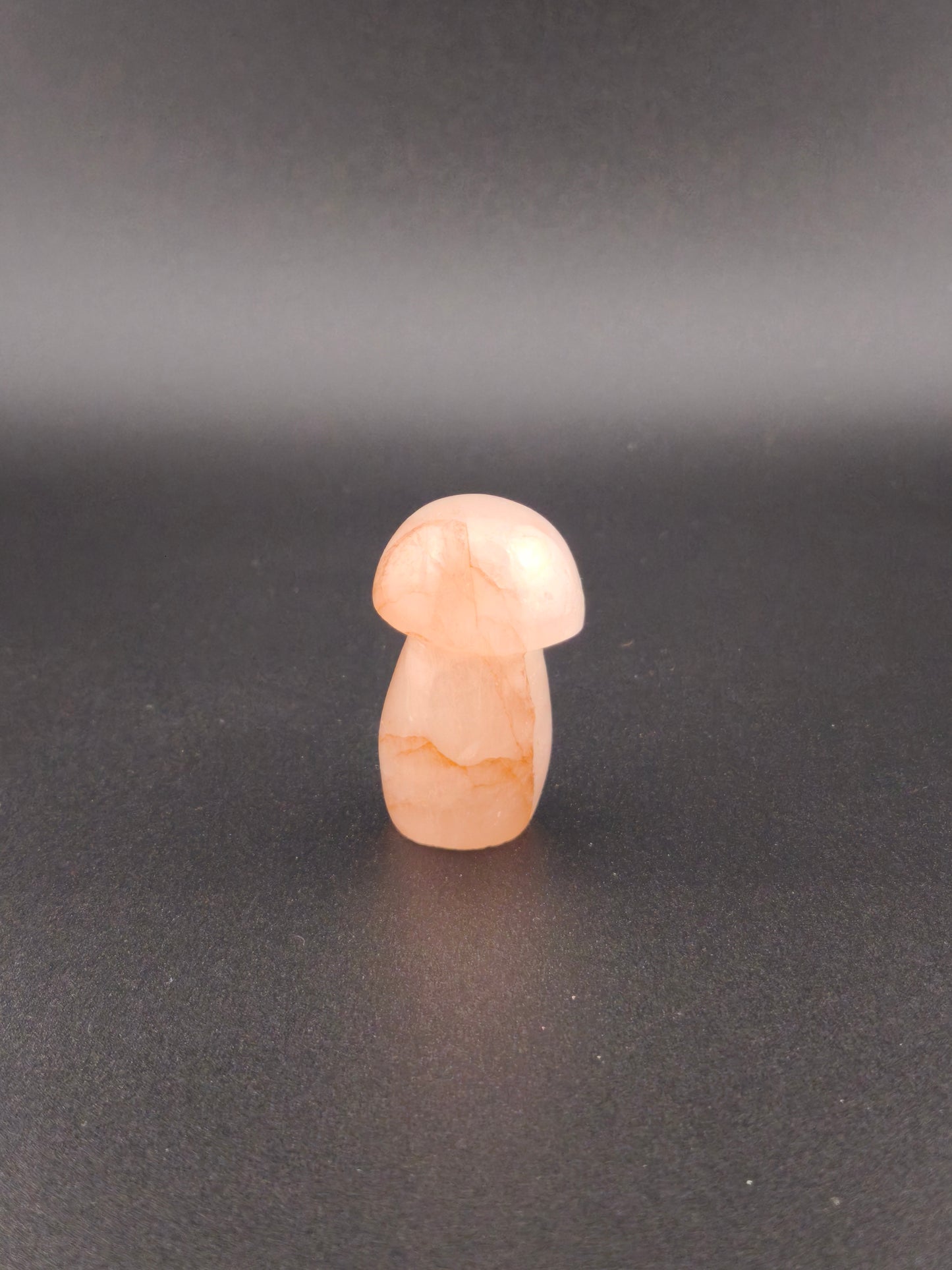 Champignon en Quartz Hématoïde