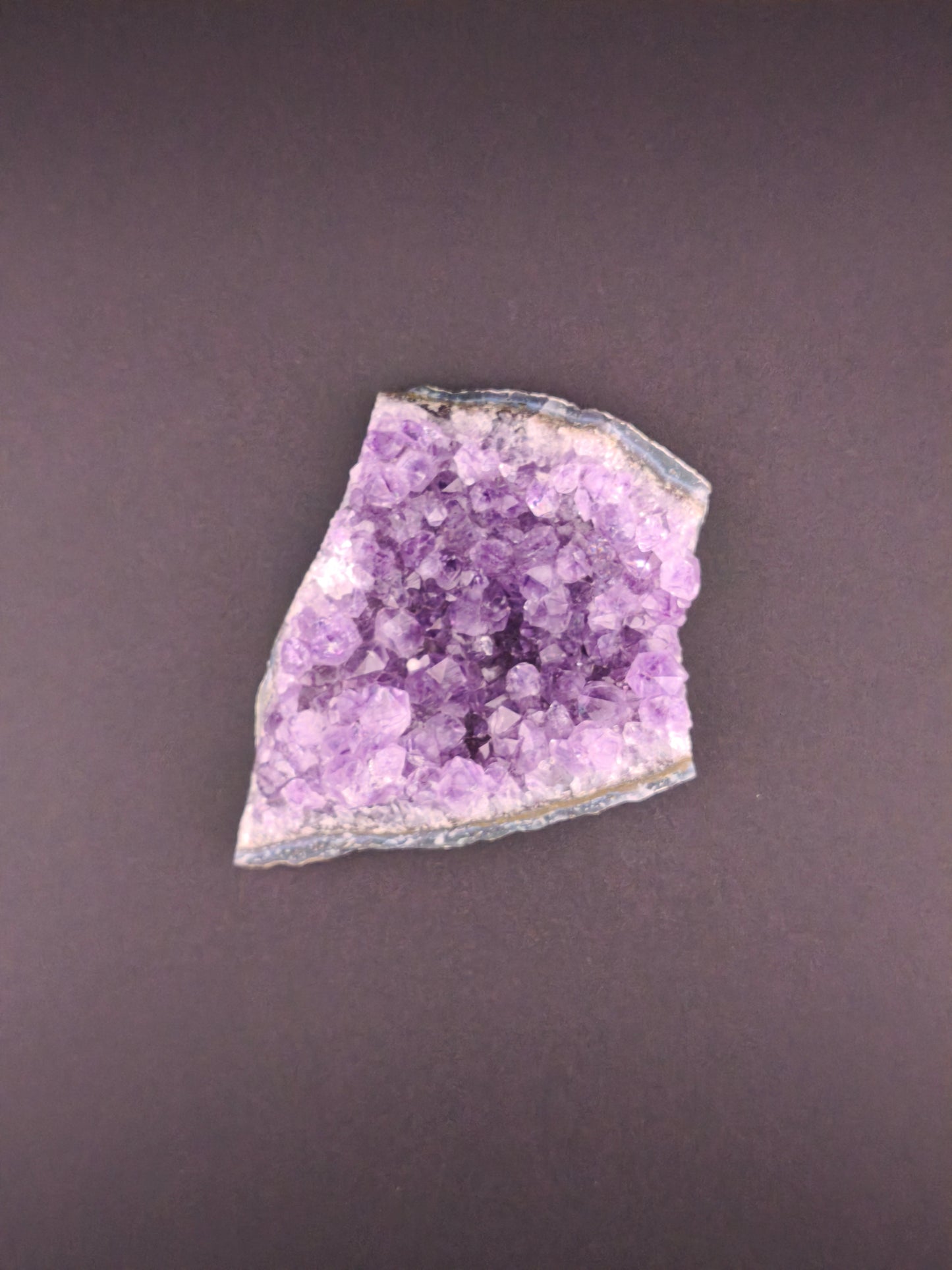 Druse d'Améthyste du Brésil / Petit Model