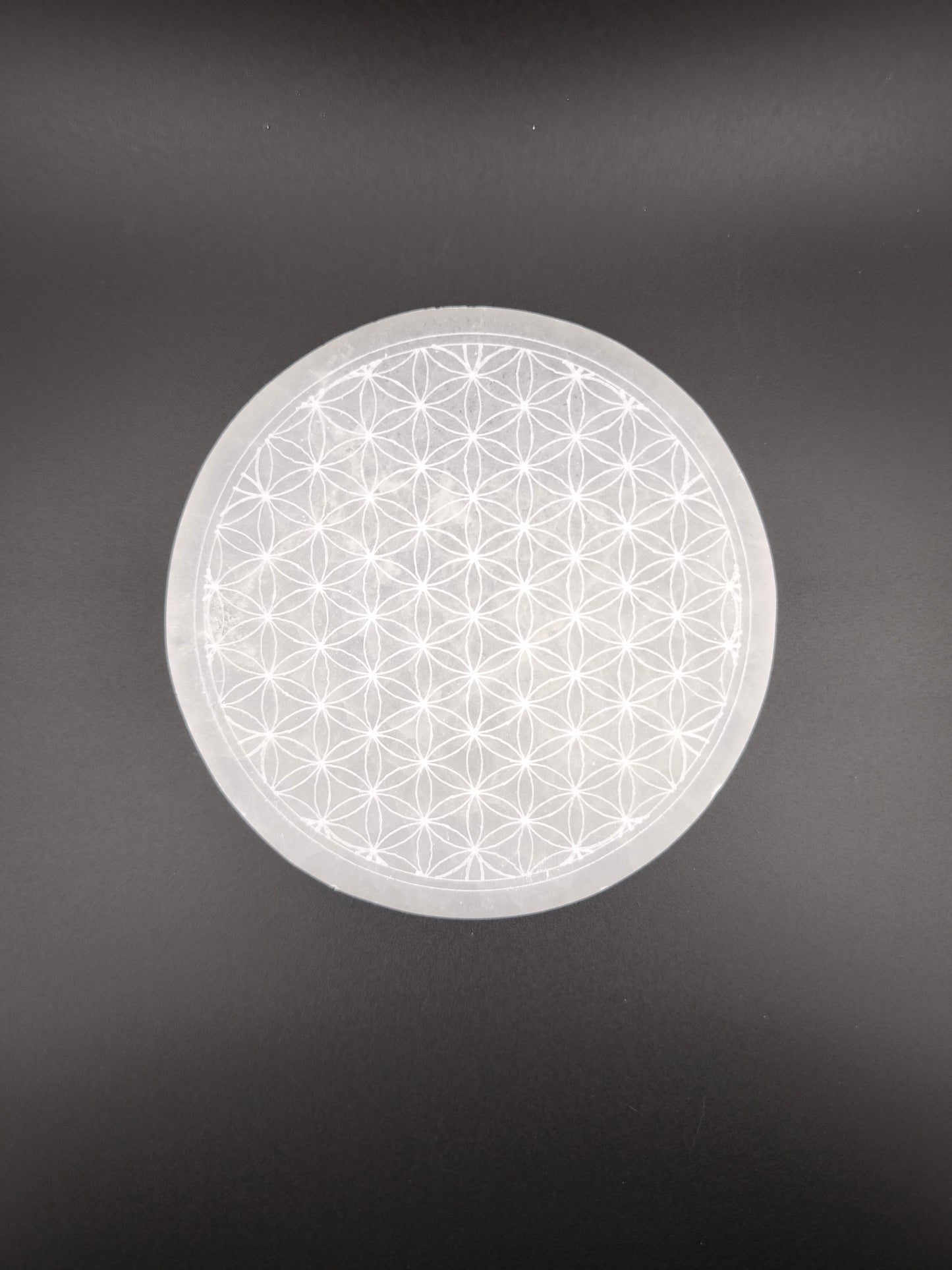 Plaque Fleur de Vie en Sélénite Grand Modèle